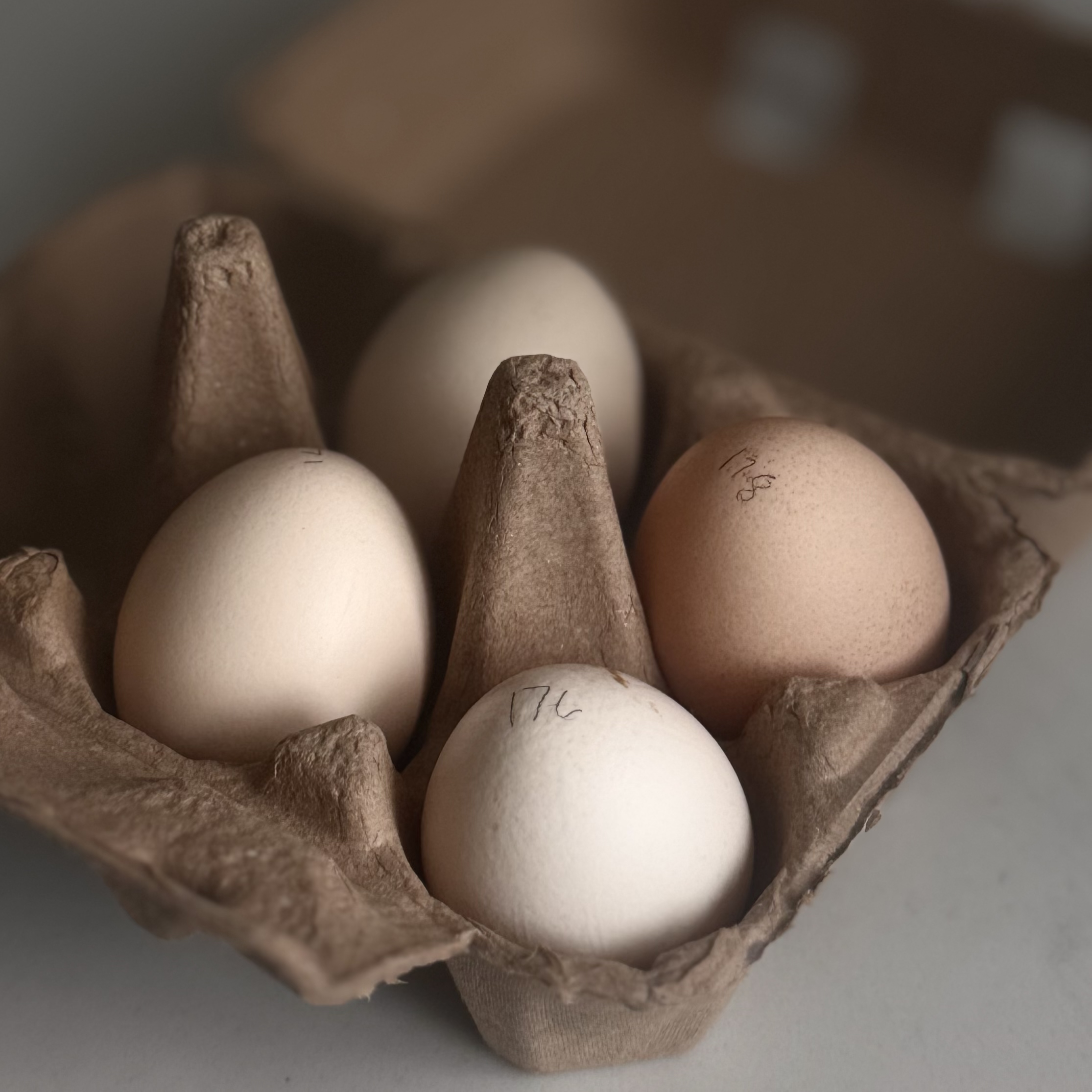 Half dozen farm fresh eggs